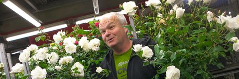 Thomas Huckfeldt zwischen Pflanzen